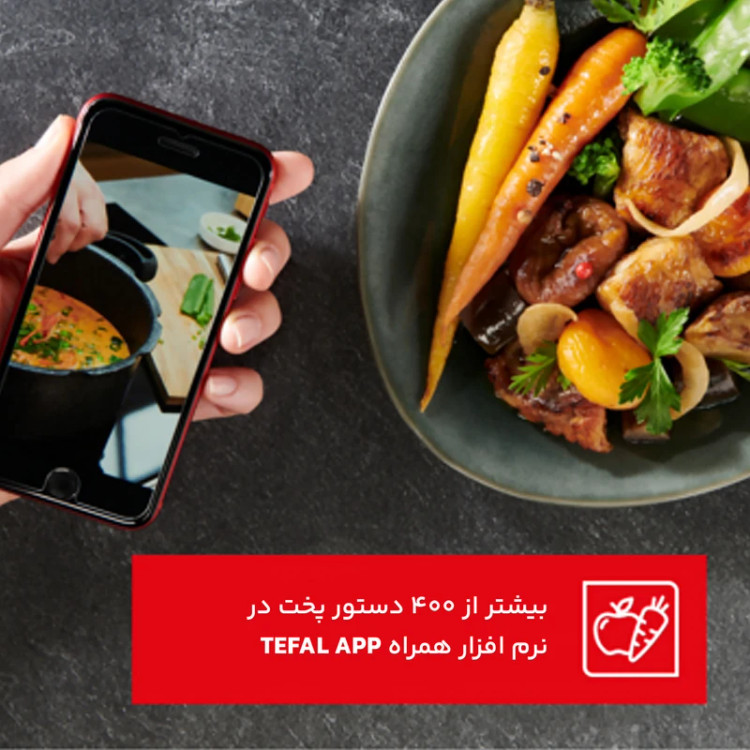 زودپز 6 لیتر تفال فرانسه مدل P4620768